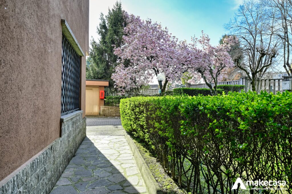 _Z621291_hdr