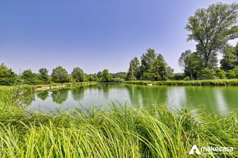 _Z628779_hdr