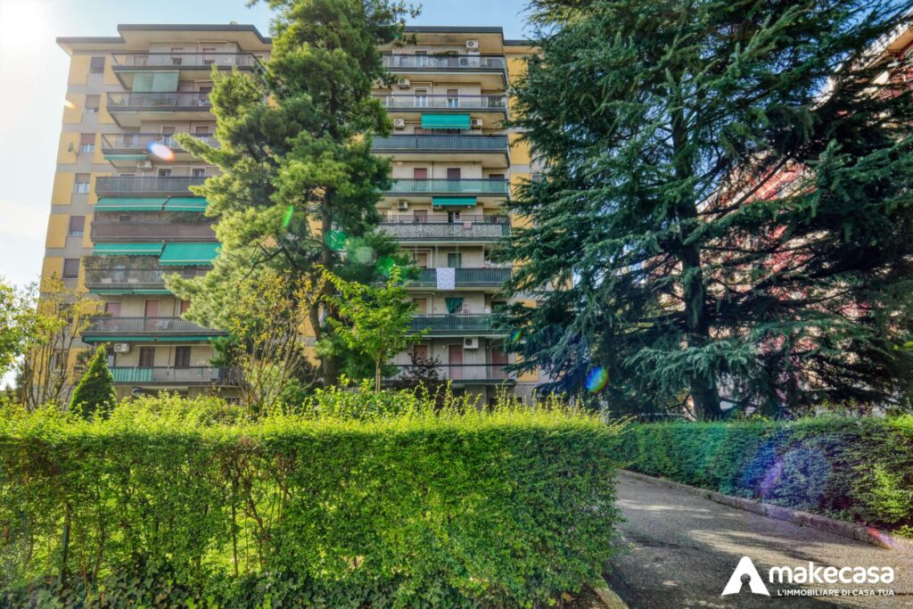 DSC02395_hdr